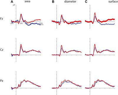 Non-Symbolic Numerosity and Symbolic Numbers are not Processed Intuitively in Children: Evidence From an Event-Related Potential Study